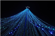 Dynamic View of the a Christmas Tree Seen From Below